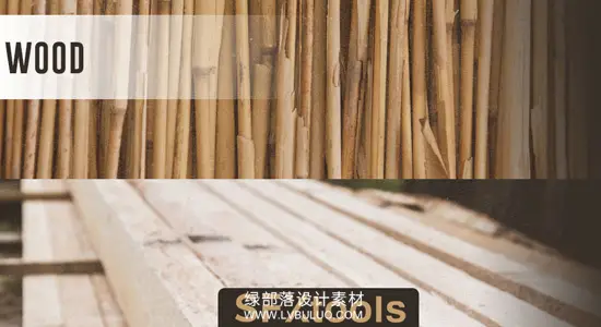 配乐音效 78种木质材质竹子跌落撞击摆动无损音效 Cinetools – Wood