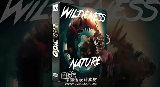 音效素材 200个鸟类溪流森林大自然户外环境音效 Epic Stock Media – Wilderness Nature Loops