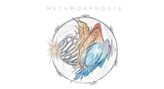 音效素材 2300种烟花燃放发射升空爆炸呼啸下潜能量音效 Metamorphosis