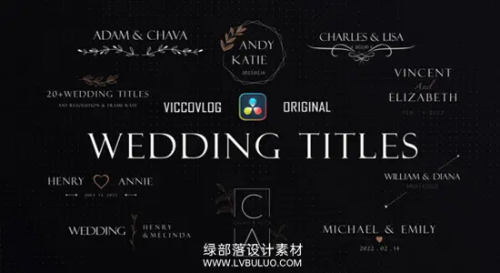 达芬奇预设 婚礼标题模板浪漫爱情文字动画模板 Wedding Titles Templates