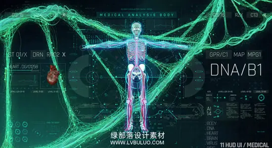 AE模板 人体骨骼器官科学HUD视觉元素 HUD Medical Pack