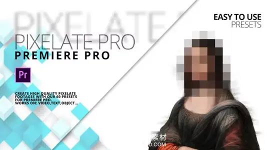 PR预设 100种像素化马赛克格子视觉特效 Pixelate Pro
