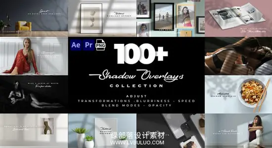 AE/PR模板 100个自然光影窗户树叶阴影叠加合成素材 Realistic Shadow Overlays Collection