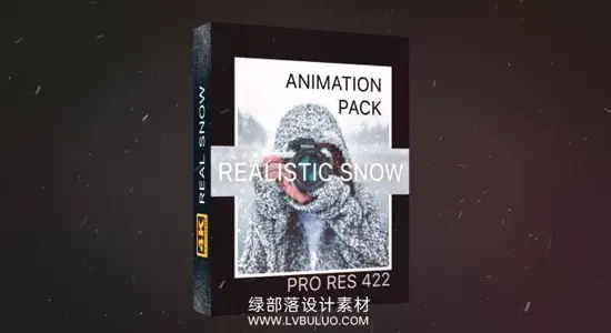 视频素材 21个真实下雪雪花飘落粒子特效动画 Realistic Snow Effects Pack