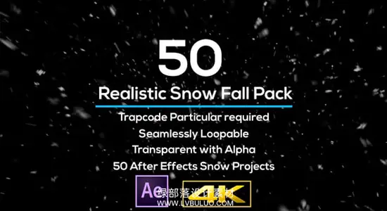 AE模板 50种下雪天雪花飞舞飘散场景效果动画 Realistic Snow Falls Project Pack