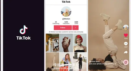 PR模板 动感竖屏社交媒体点赞观看效果 TikTok Promo