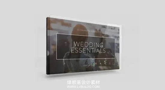 250多个电影级胶片婚礼风格LUT调色+叠加动画+音效 Vamify – Wedding Essentials