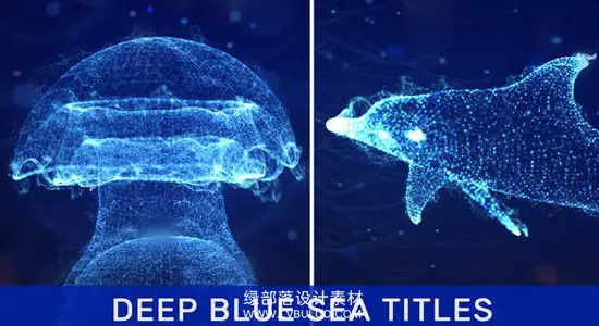 AE模板 深海蓝色粒子水下豚鱼水母图文标题片头动画 Deep Blue Sea Titles