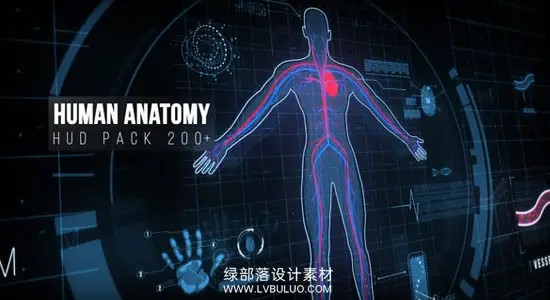 AE模板 200种人体骨骼器官细胞医疗HUD解剖学UI界面动画 Human Anatomy HUD Pack 200+