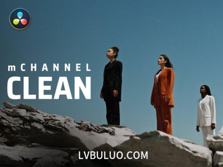 达芬奇插件-社交媒体简洁图形文字标题设计介绍包装动画 mChannel Clean DVR