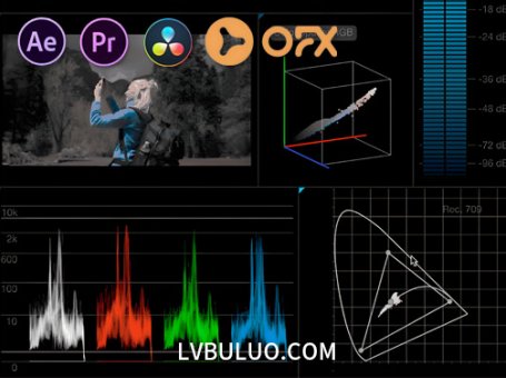 AE/PR/达芬奇/OFX插件-视频调色万能示波器插件 Nobe OmniScope v1.10.166