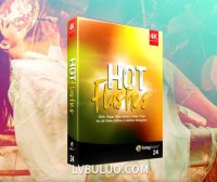 4K视频素材-500个梦幻彩色光效温暖热烈闪烁视频特效转场动画 Hot Flashes