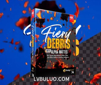 4K视频素材-53组纸屑火焰燃烧碎片飞舞飘舞特效动画 Fiery Debris