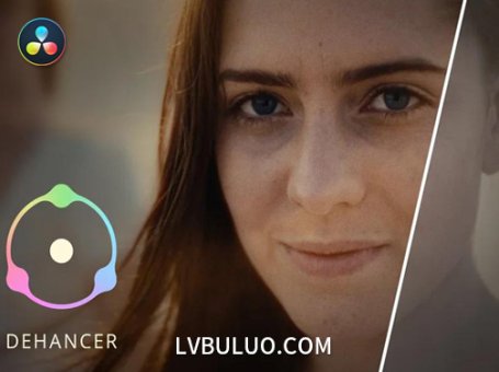 达芬奇插件-电影胶片色彩模拟与电影感调色 Dehancer Pro v7.3.4