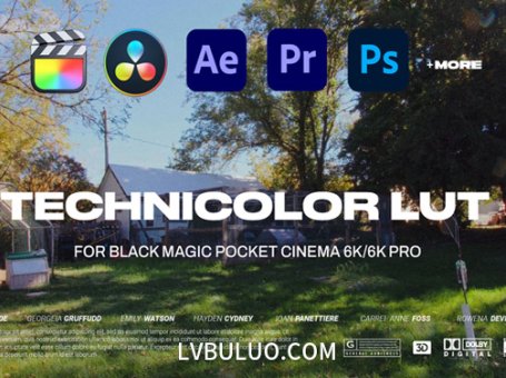 1920年代特艺彩色老电影镜头高饱和度外观调色预设 Technicolor LUT Pack for Black Magic Pocket Cinema 6K/6k Pro