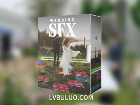 音效素材-116个电影视频制作环境婚礼MV氛围拟声过渡音效 The Wedding SFX Pack