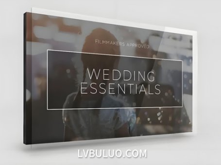 250多个复古浪漫婚礼MV纪录片叠加视频动画+LUT预设 Vamify – Wedding Essentials