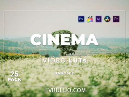 短视频Vlog电影感专业色彩视频图片调色预设第25款 Bangset Cinema Video LUTs Pack 25