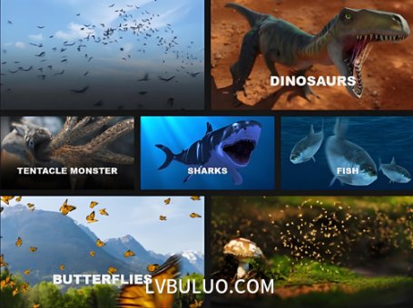 4K视频素材-124个鱼类恐龙鸟鲨鱼蝴蝶翅膀等动物素材 Production Crate – Animals & Creatures
